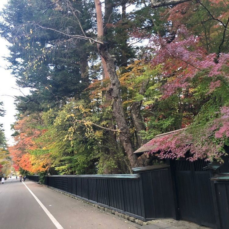 タッキーさんが投稿した角館樺細工伝承館に関する口コミの画像