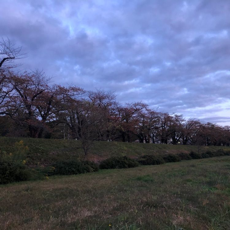 タッキーさんが投稿した唐土庵 さくら並木店に関する口コミの画像