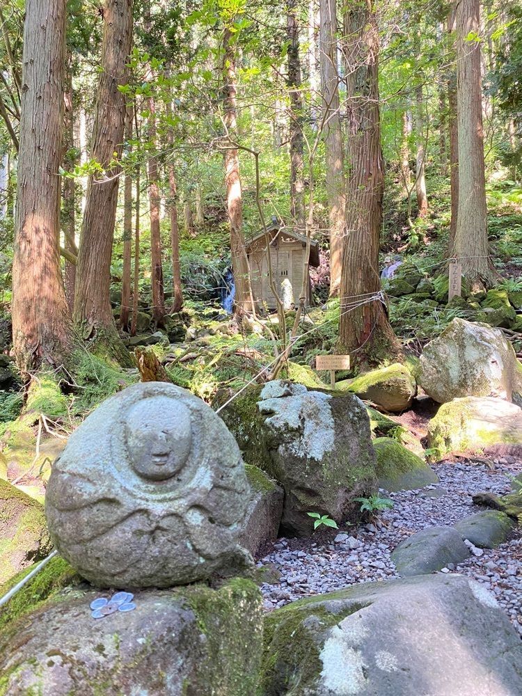 かめ_メグミさんが投稿した胴腹滝に関する口コミの画像