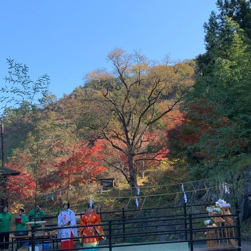 さくらさんが投稿した滝山公園のツツジに関する口コミの画像