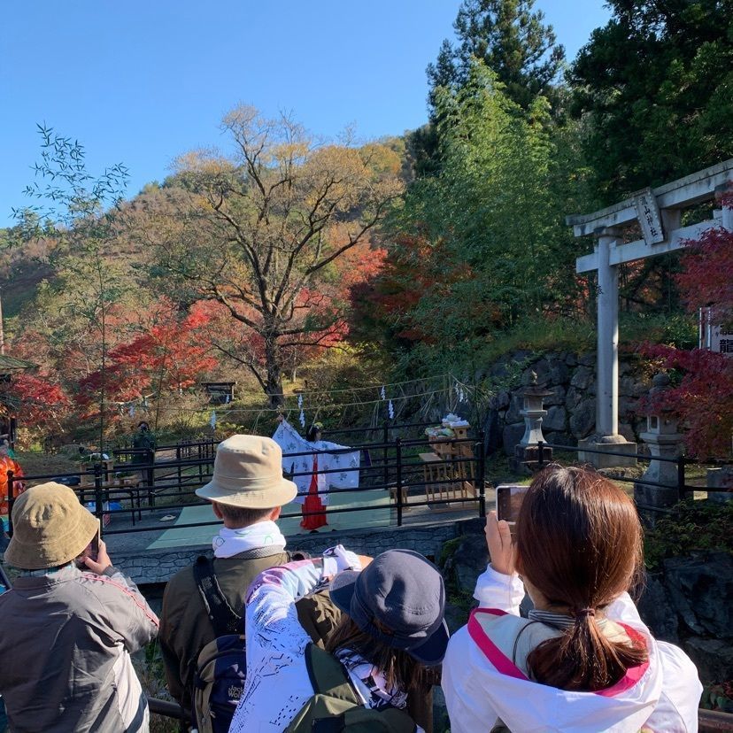 さくらさんが投稿した滝山公園のツツジに関する口コミの画像