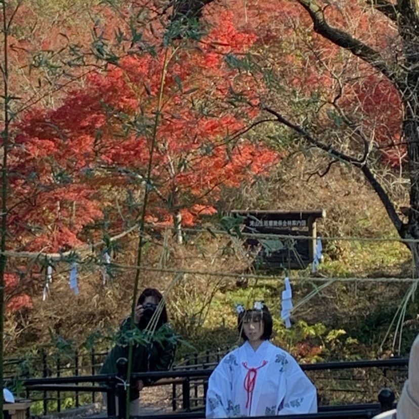さくらさんが投稿した滝山公園のツツジに関する口コミの画像