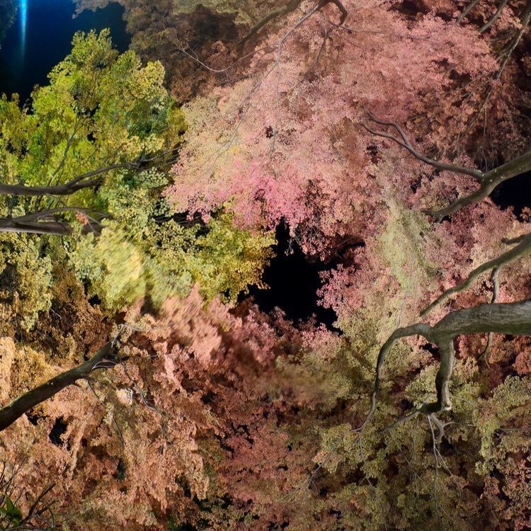 ハッピーストリートさんが投稿した温泉寺（長野県諏訪市）に関する口コミの画像