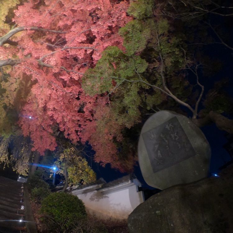 ハッピーストリートさんが投稿した温泉寺（長野県諏訪市）に関する口コミの画像