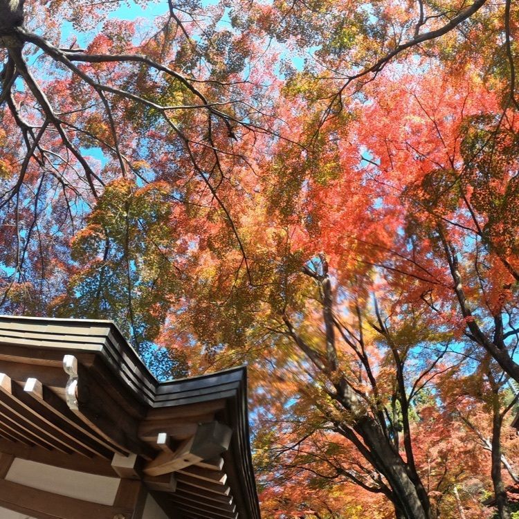 ハッピーストリートさんが投稿した温泉寺（長野県諏訪市）に関する口コミの画像