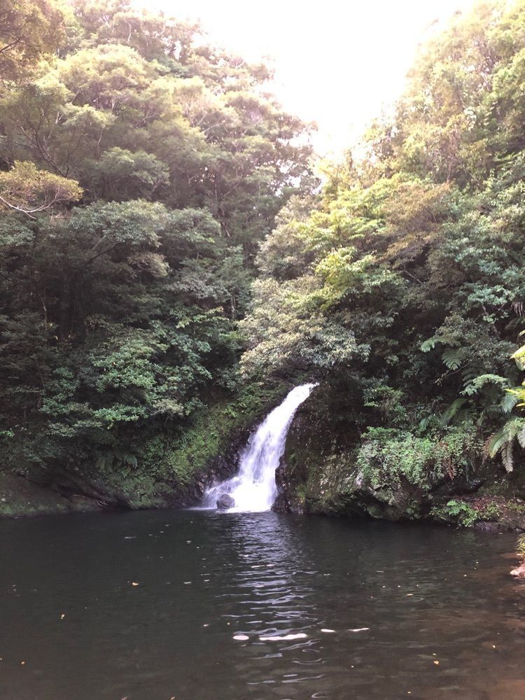 yu-chanさんが投稿したマテリアの滝に関する口コミの画像
