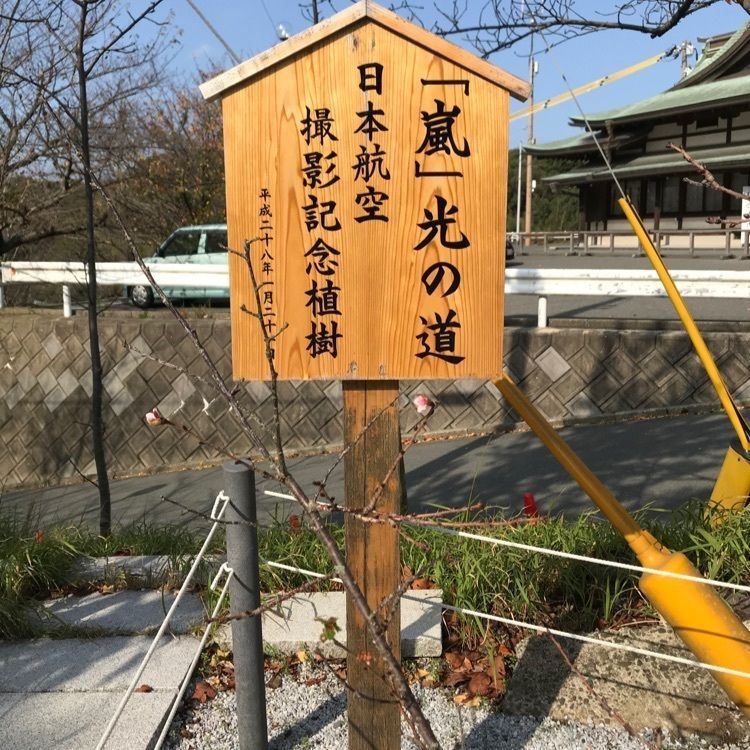 シュウさんが投稿した画像の画像