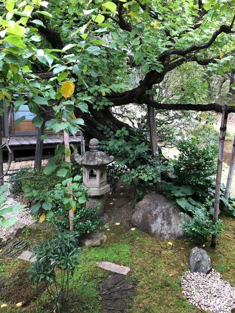 Nさんが投稿した大善寺に関する口コミの画像