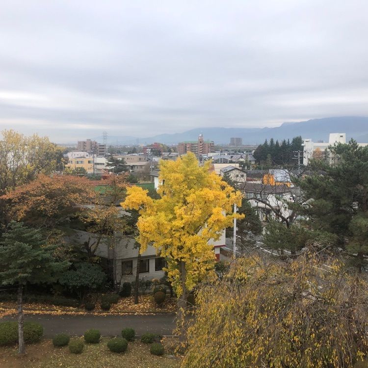 タッキーさんが投稿した宮野小提灯句碑に関する口コミの画像