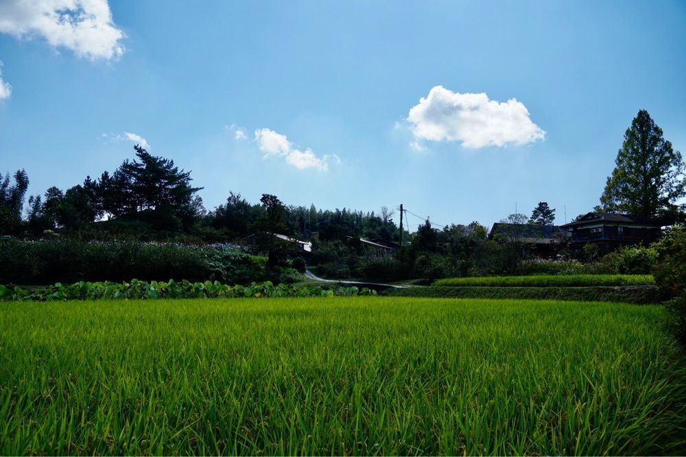 m_keijiさんが投稿した杉・五兵衛に関する口コミの画像