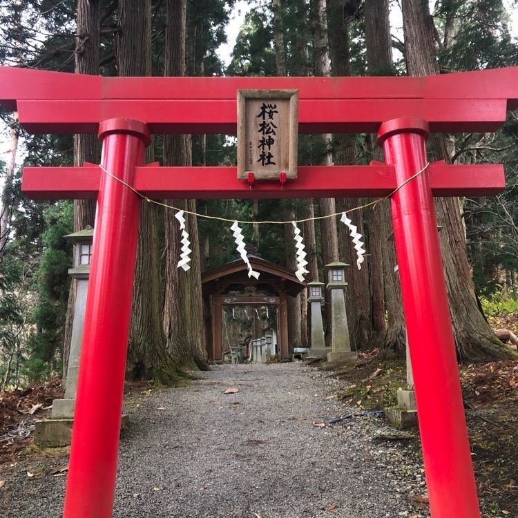 タッキーさんが投稿した桜松神社に関する口コミの画像