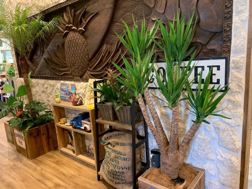 ステップさんが投稿したALOHA CAFE Pineapple 生駒店（アロハ カフェ パイナップル）に関する口コミの画像