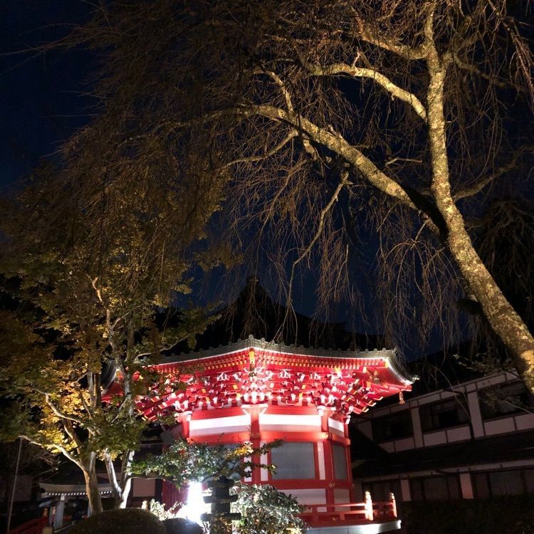 serenaさんが投稿した根本大塔に関する口コミの画像