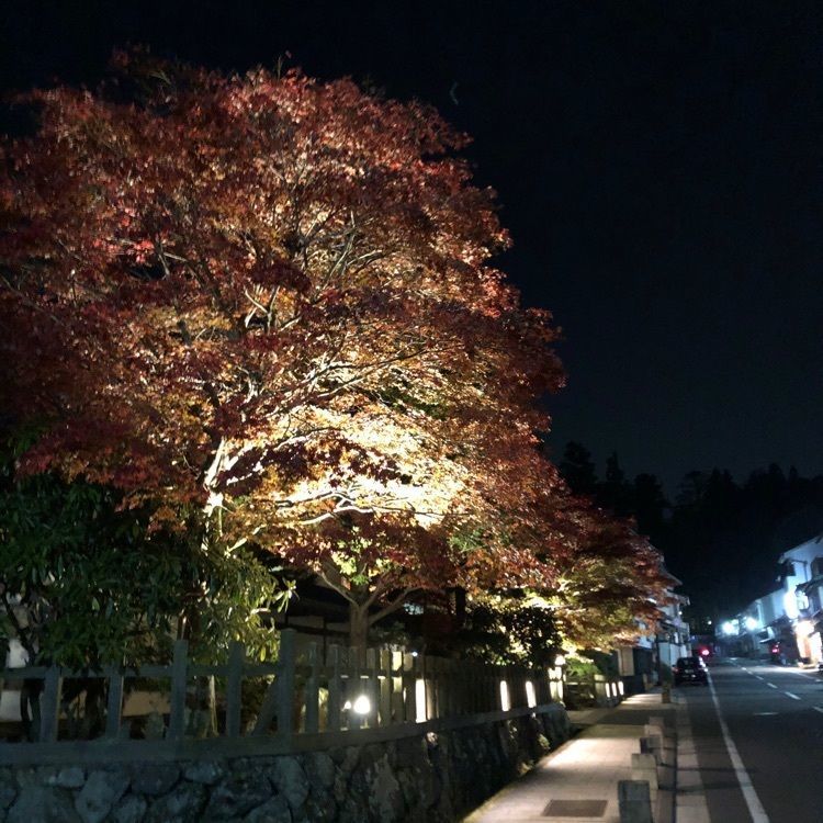 serenaさんが投稿した根本大塔に関する口コミの画像