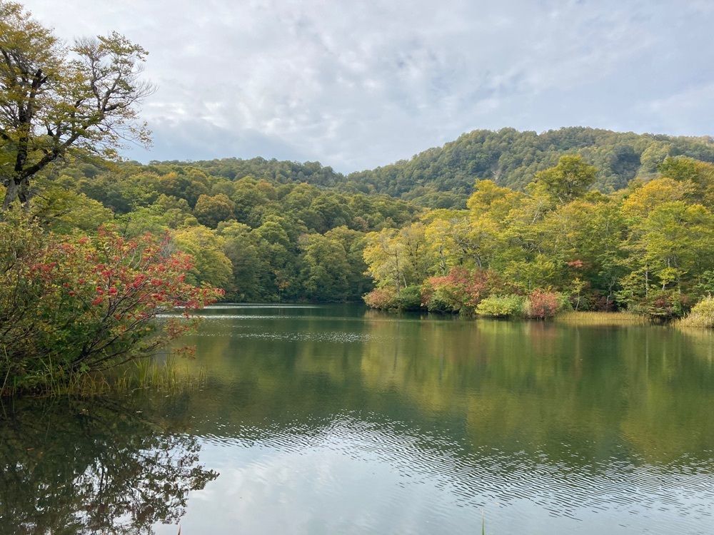 Howl Monさんが投稿した鎌池に関する口コミの画像