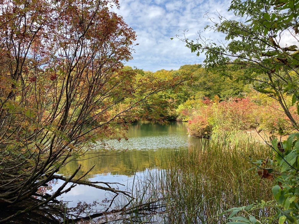 Howl Monさんが投稿した鎌池に関する口コミの画像