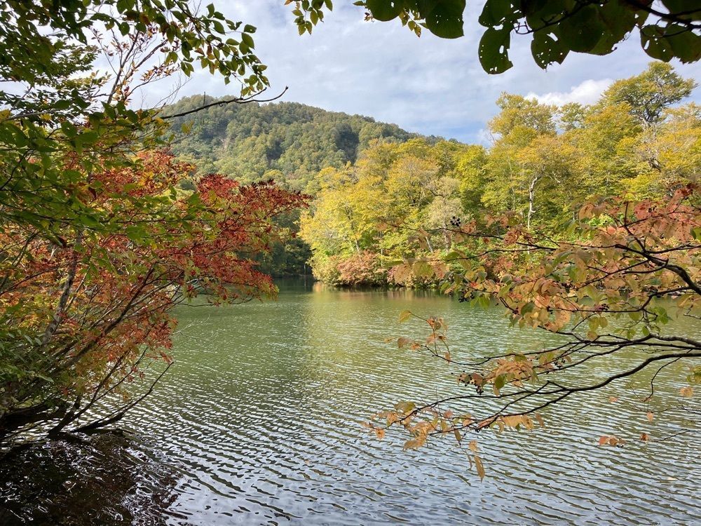 Howl Monさんが投稿した鎌池に関する口コミの画像