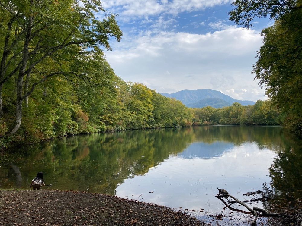 Howl Monさんが投稿した鎌池に関する口コミの画像