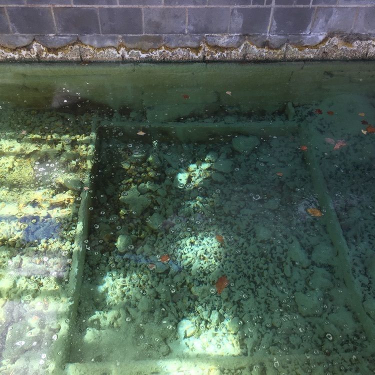 こまささんが投稿した草津温泉 御座之湯に関する口コミの画像