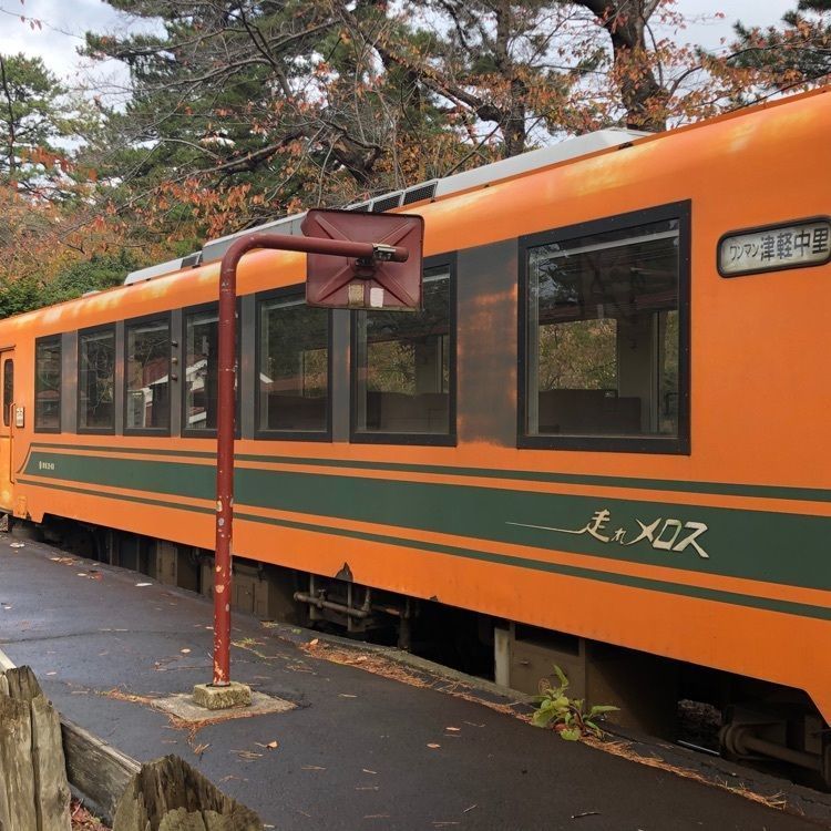 タッキーさんが投稿した芦野公園駅に関する口コミの画像