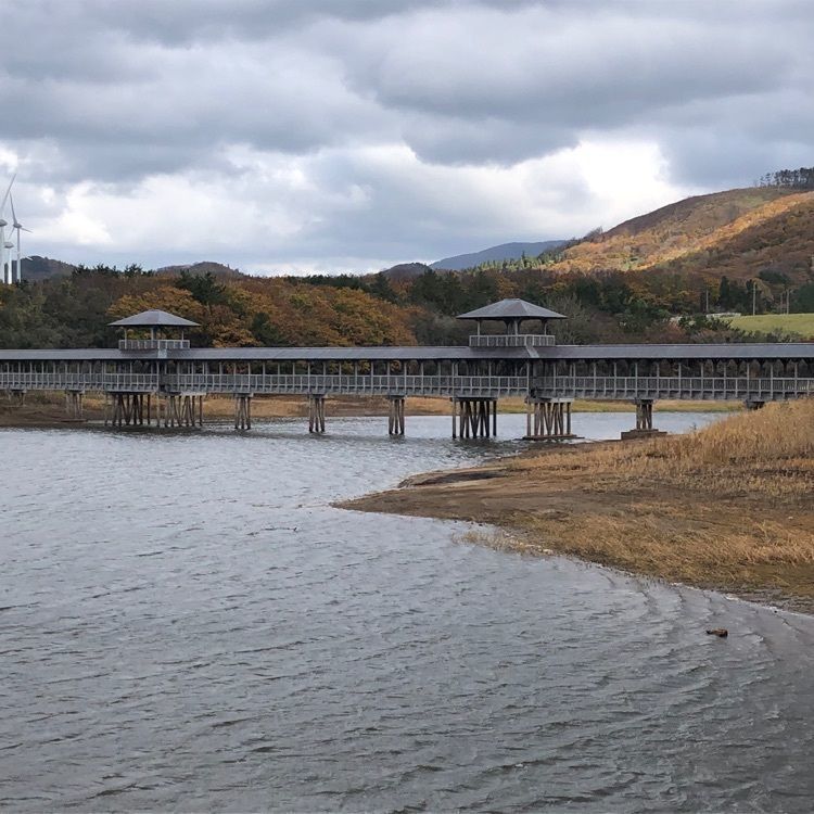 タッキーさんが投稿した大沼公園に関する口コミの画像