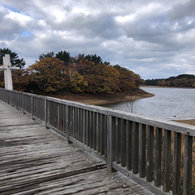 タッキーさんが投稿した大沼公園に関する口コミの画像