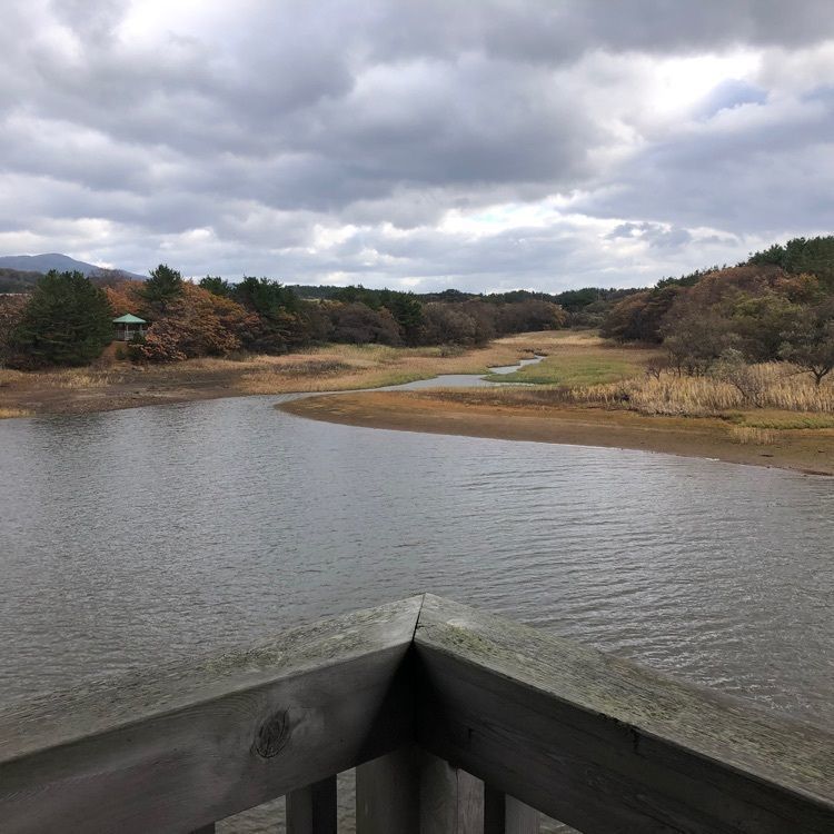タッキーさんが投稿した大沼公園に関する口コミの画像