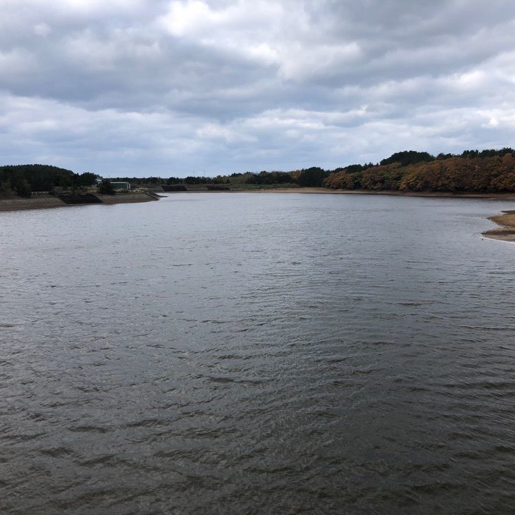 タッキーさんが投稿した大沼公園に関する口コミの画像