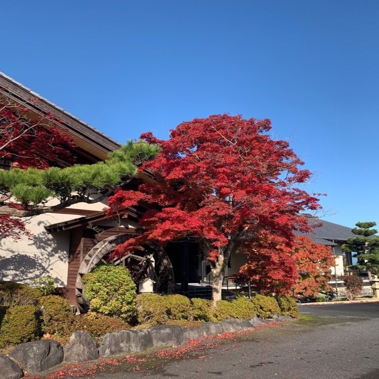 ayuminさんが投稿した奈良若草カントリー倶楽部に関する口コミの画像