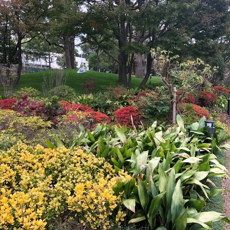 タッキーさんが投稿した檜町公園に関する口コミの画像