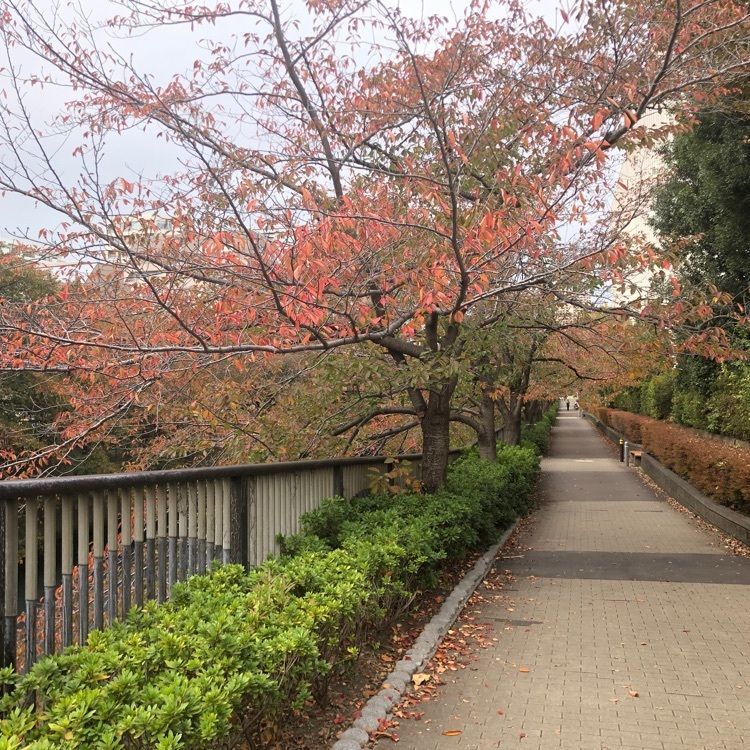 タッキーさんが投稿した目黒区美術館 ラウンジに関する口コミの画像