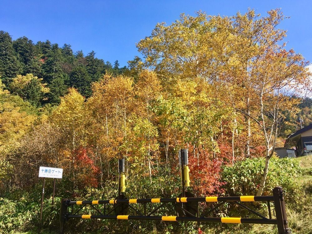 yoshiさんが投稿した十勝岳温泉に関する口コミの画像