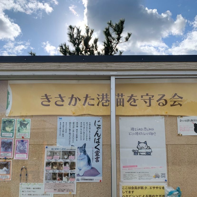 すずさんが投稿した象潟海岸に関する口コミの画像