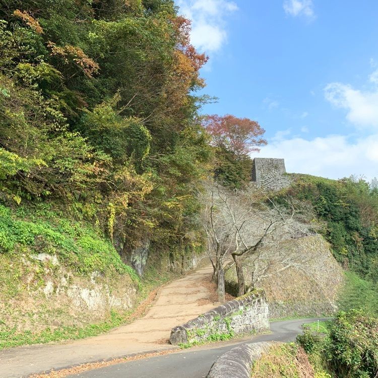 formal_cafeteria_8688さんが投稿した岡城阯の紅葉に関する口コミの画像