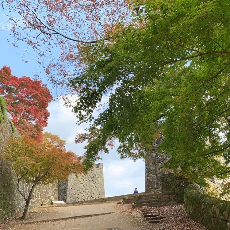 formal_cafeteria_8688さんが投稿した岡城阯の紅葉に関する口コミの画像