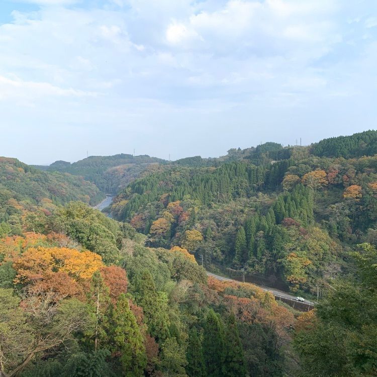 formal_cafeteria_8688さんが投稿した岡城阯の紅葉に関する口コミの画像