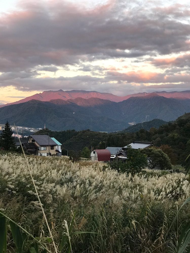 ぷかちいさんが投稿したいたやに関する口コミの画像