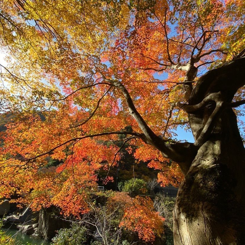 KEN AGENAさんが投稿した石霞渓に関する口コミの画像