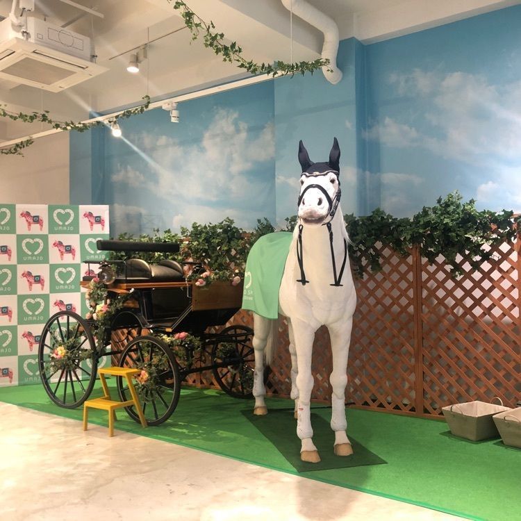 いろはさんが投稿したキャットストリートに関する口コミの画像