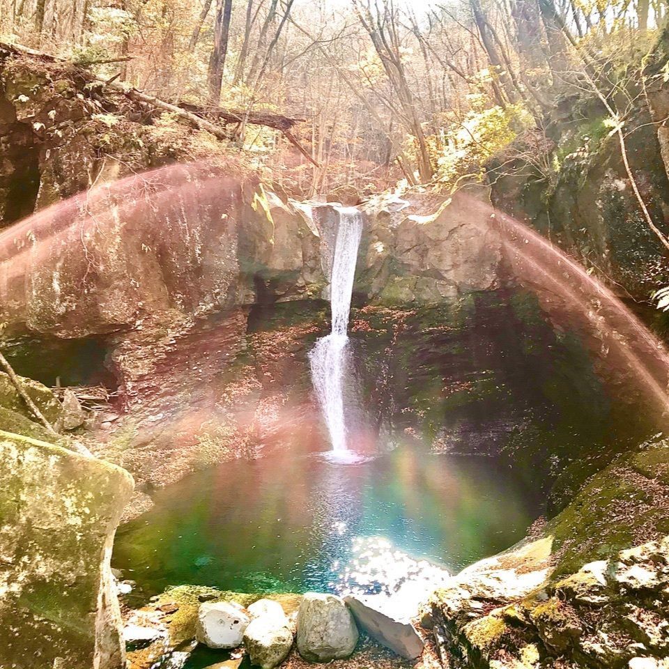 さんぴん茶さんが投稿した矢板市に関する口コミの画像