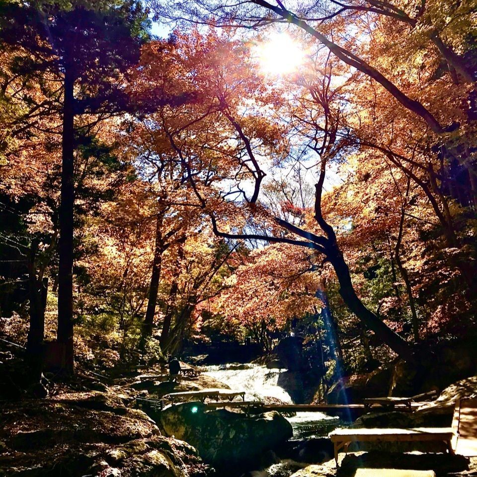 さんぴん茶さんが投稿した矢板市に関する口コミの画像