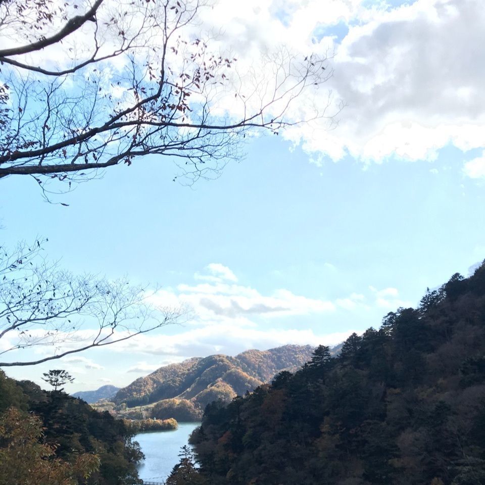 さんぴん茶さんが投稿した東小屋に関する口コミの画像