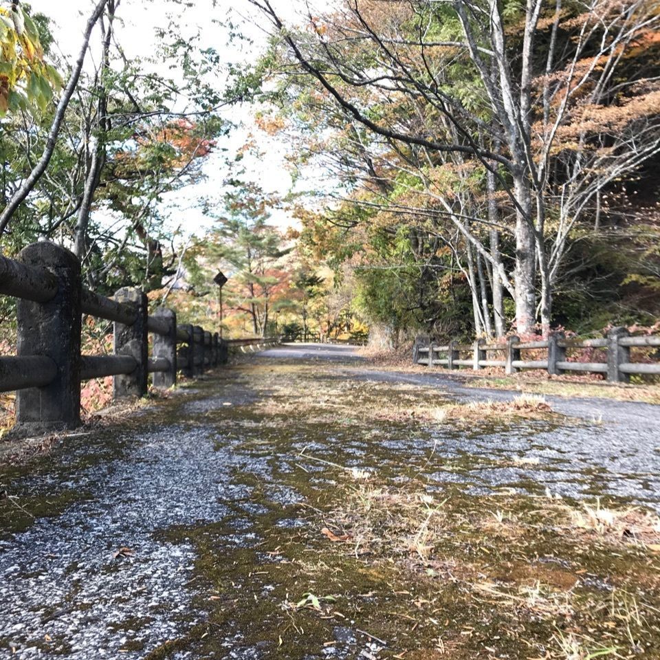 さんぴん茶さんが投稿した東小屋に関する口コミの画像