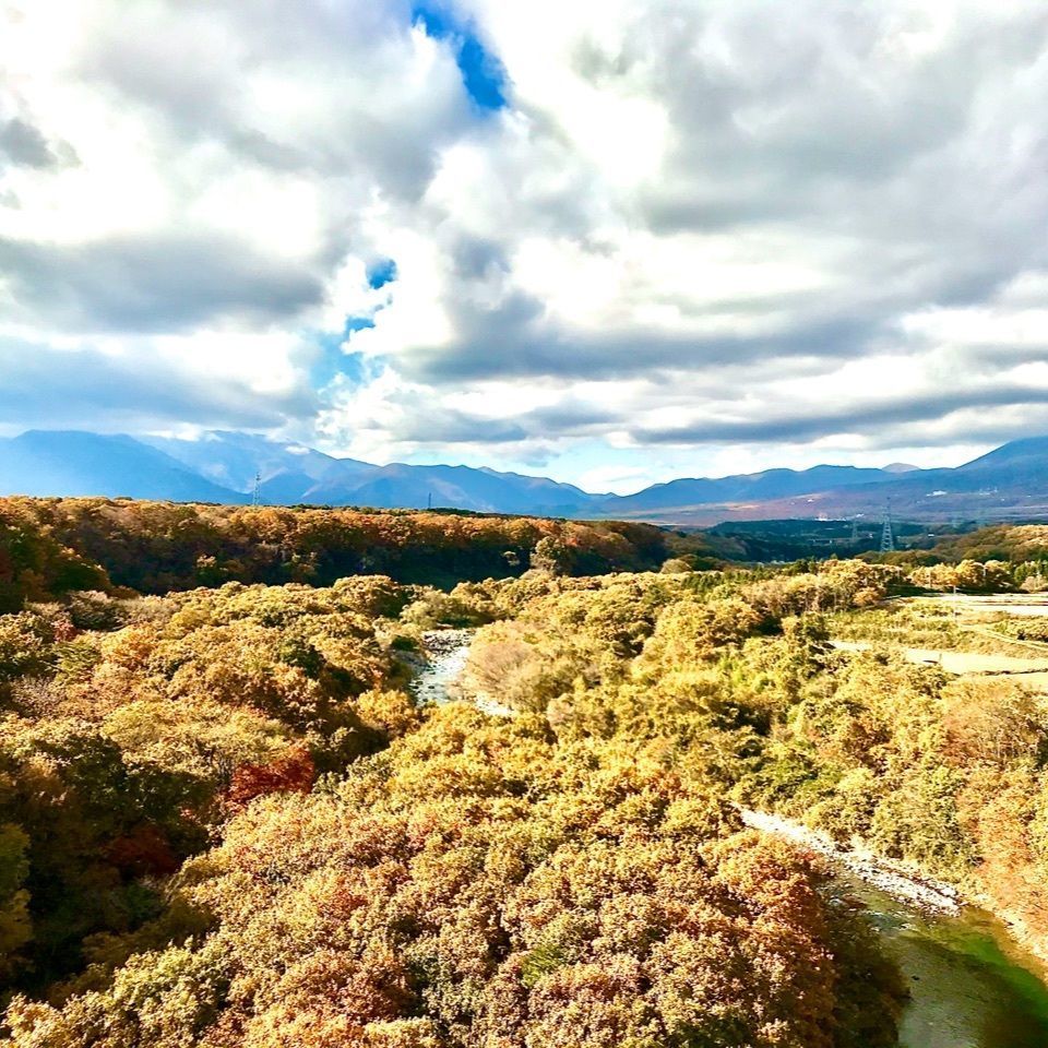 さんぴん茶さんが投稿した東小屋に関する口コミの画像
