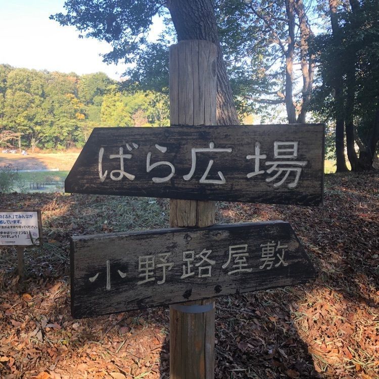 タッキーさんが投稿した町田市立陸上競技場に関する口コミの画像