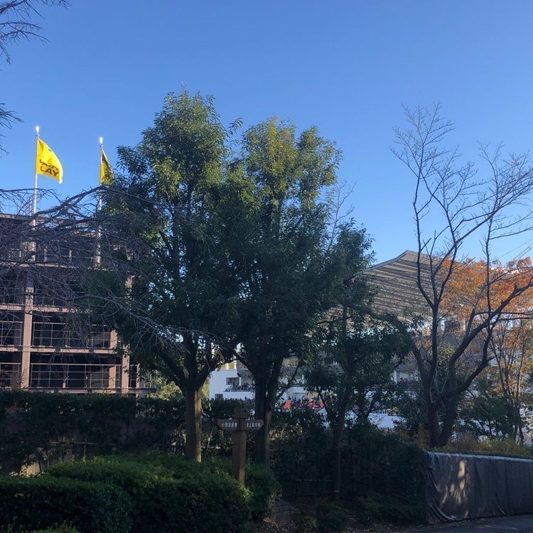 タッキーさんが投稿した野津田公園に関する口コミの画像