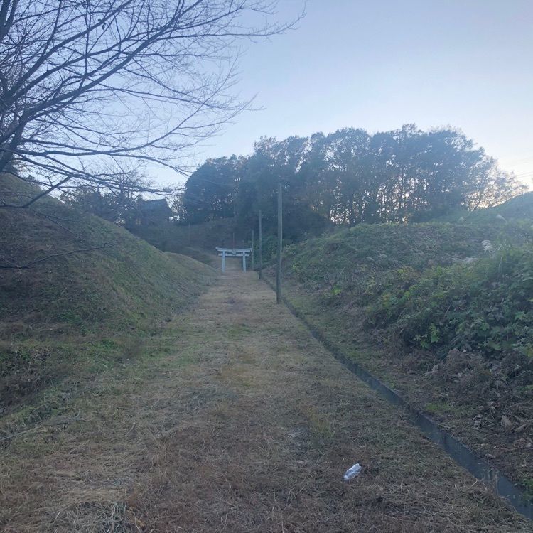 タッキーさんが投稿した東京きのこプロジェクトに関する口コミの画像
