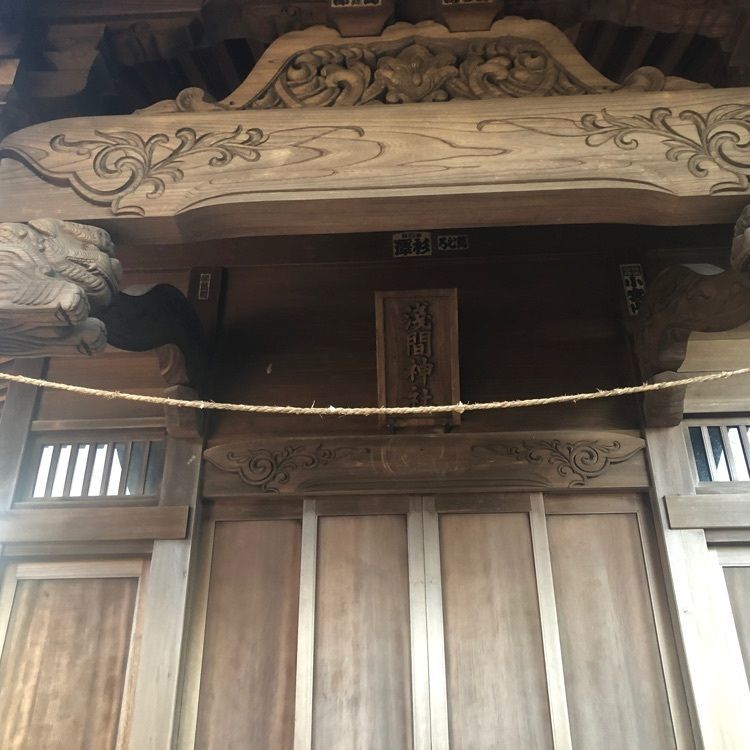 タッキーさんが投稿した東京きのこプロジェクトに関する口コミの画像