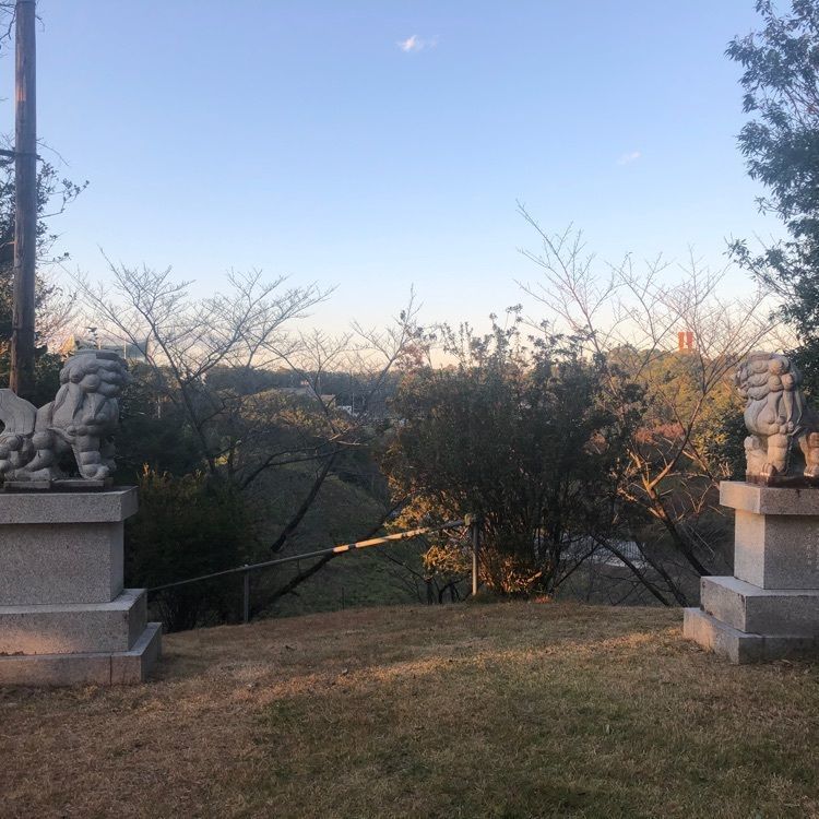 タッキーさんが投稿した東京きのこプロジェクトに関する口コミの画像