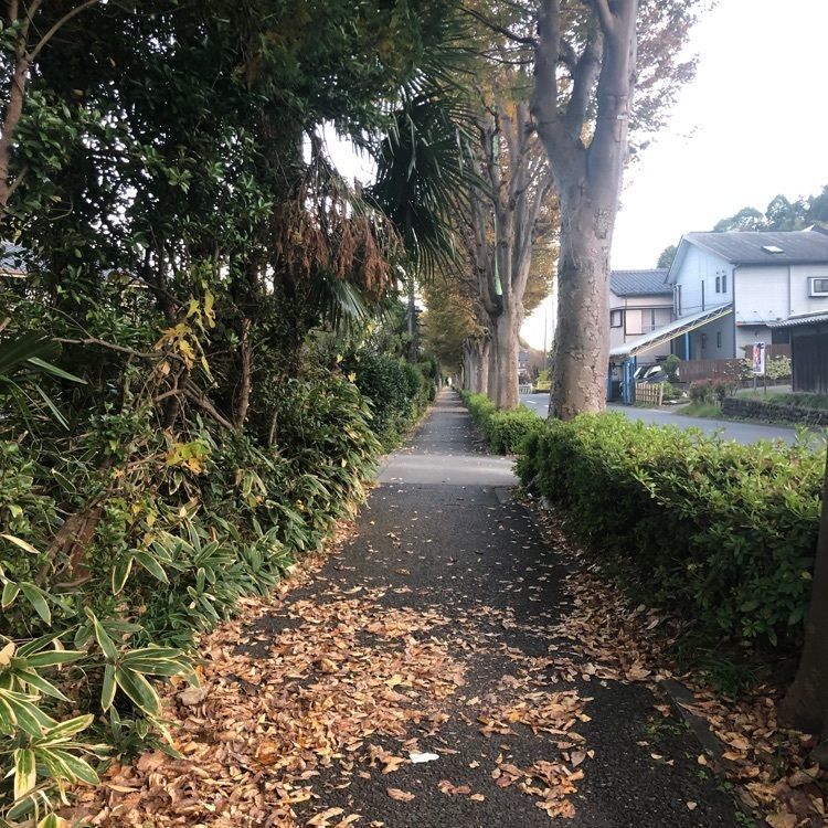 タッキーさんが投稿した小島資料館に関する口コミの画像